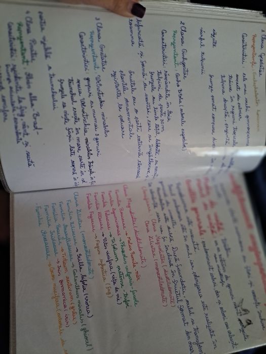 Notițe biologie vegetală pentru admitere UMF Iași disponibile atât în format fizic, cât și în format PDF