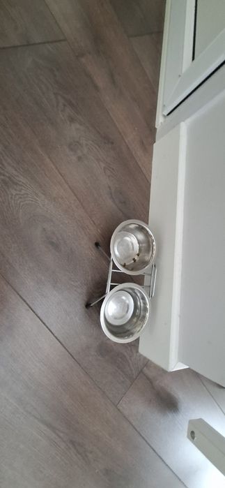 Отдам Кота в хорошие руки