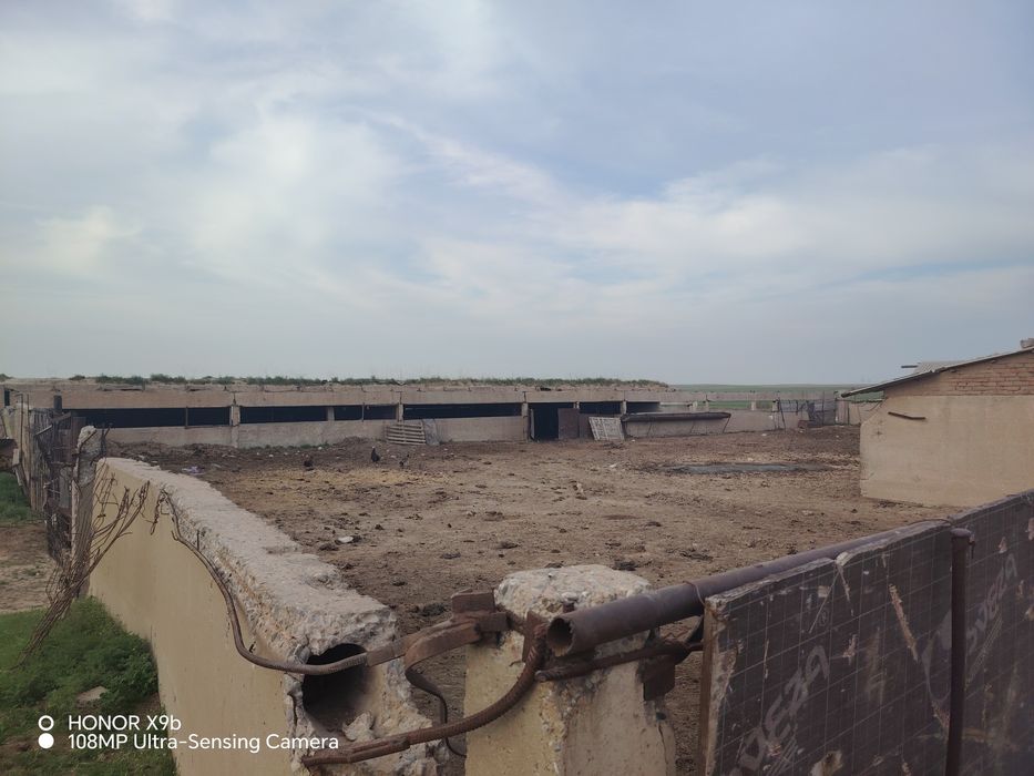 Отрабасински раеон село шубарсу