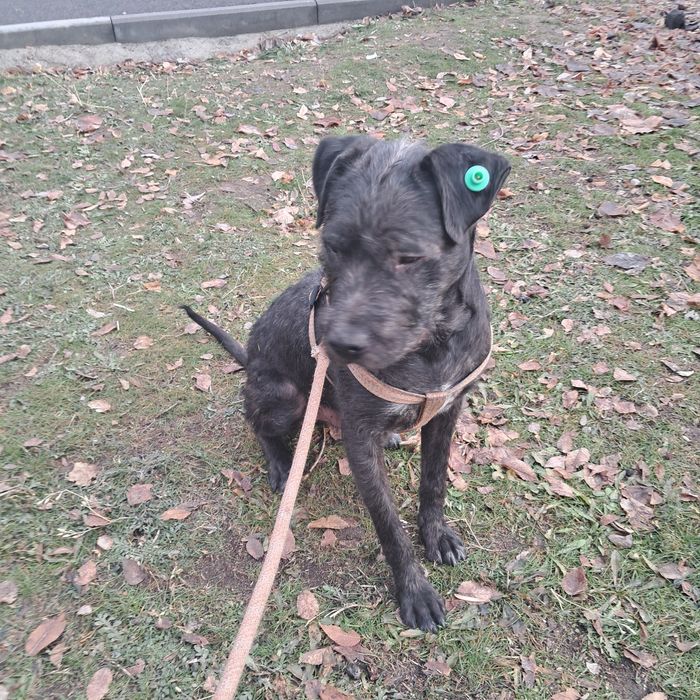 Друг на всю жизнь