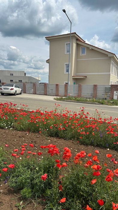 Spatiu  comercial -BIROURI in  Giarmata