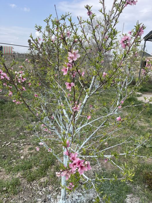 Продам уютный, теплый дом