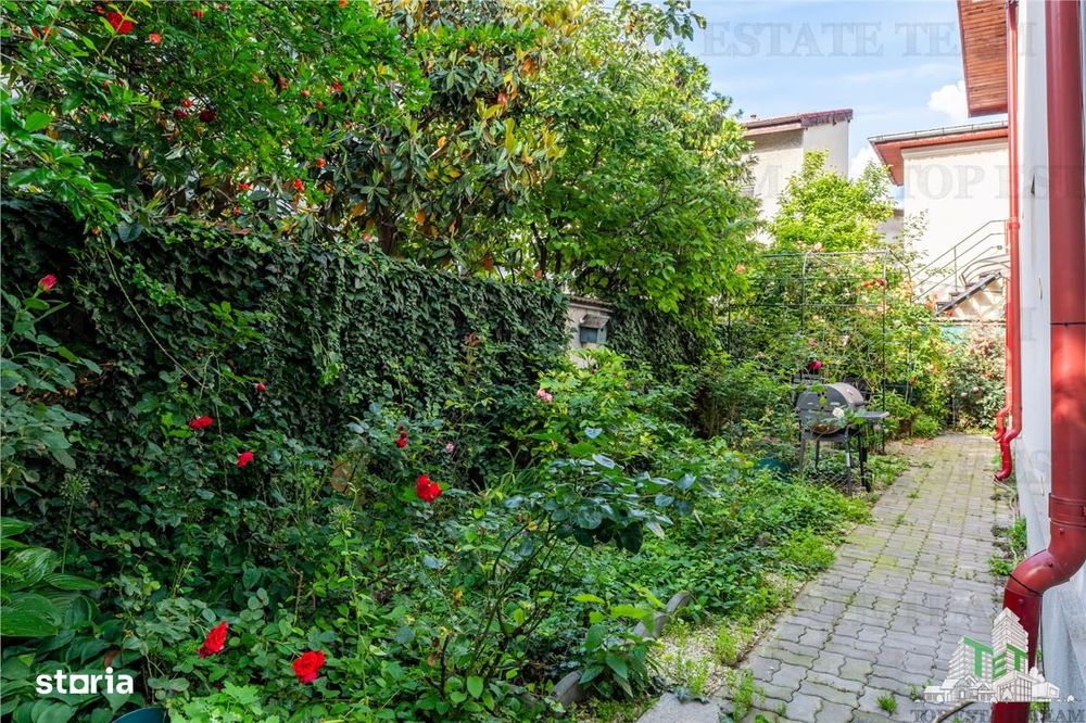 Vila Vatra Luminoasa, Bucuresti
