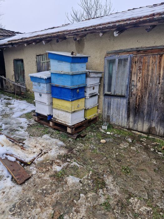 Кошери , корпуси за  ЛР 10 рамкови