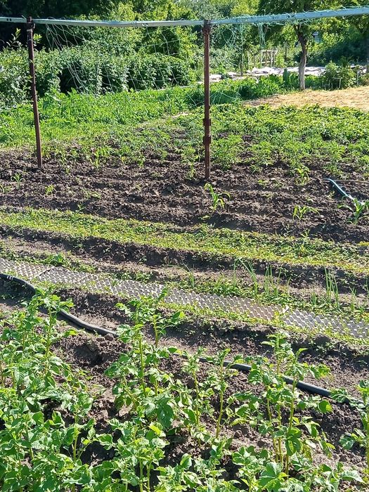 Продам дачу (6,6 соток)