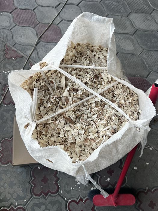 Apilka beshikniki