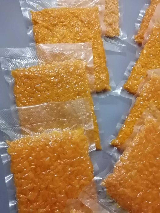 Тыква, выращенная в саду