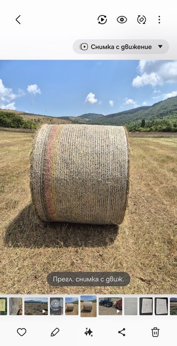 Рулонни бали сено