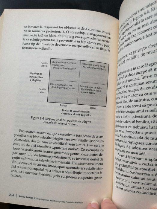 Puncte Fierbinti Lynda Gratton ed Publica business inovatie companii