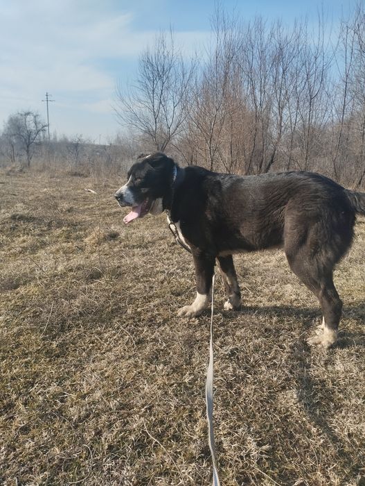 Открыт для вязок