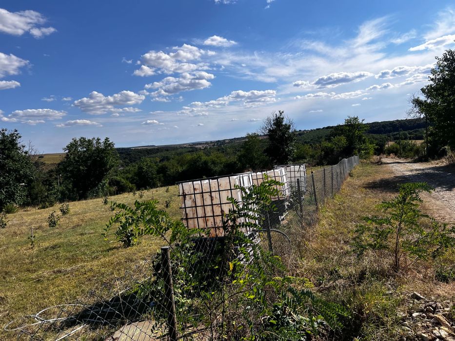 Продава се Парцел в с. Голям Поровец, Област Разград - 2631 кв.м за 10 €/кв.м - Снимка #7