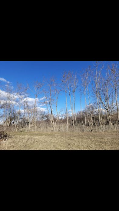 Teren Extravilan DN 1 A / langa Blejoi / Boldesti - Scaeni