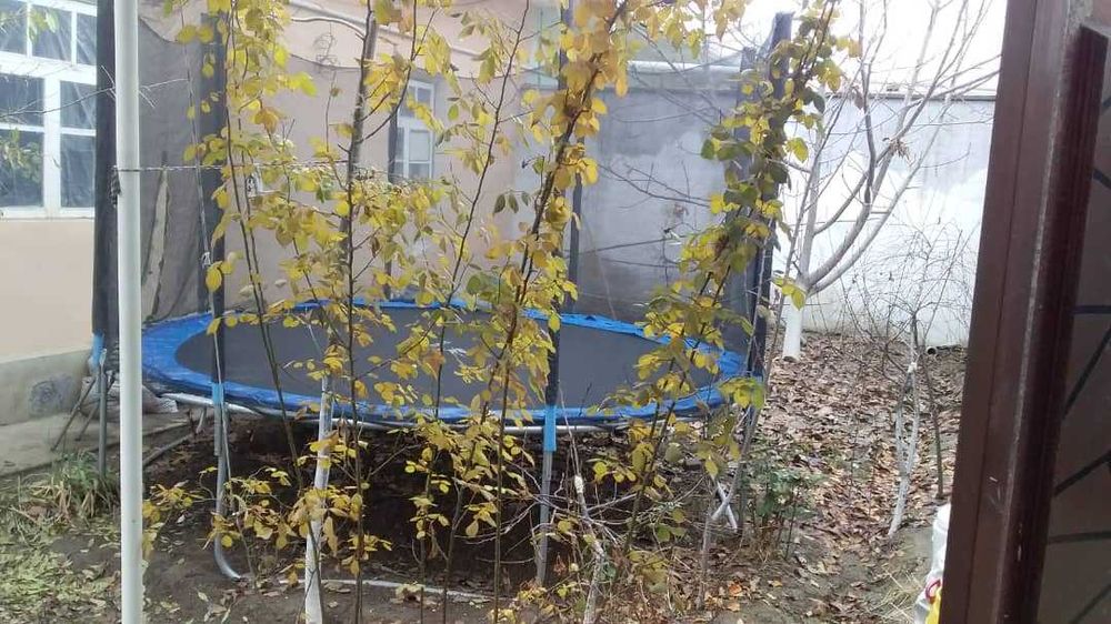 Батут для детей и взрослых