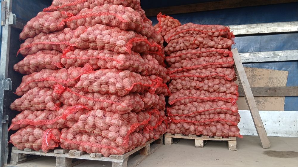 Cartofi de animale si de consum