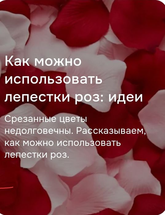 Лепестки роз круглосуточно