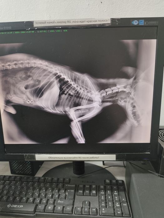 Рентген аппарат с оцифровщиком