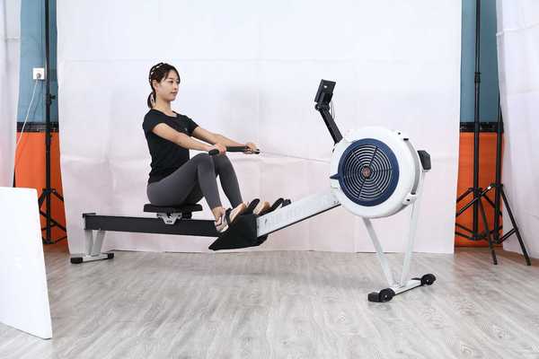 DFC Air rower r1000