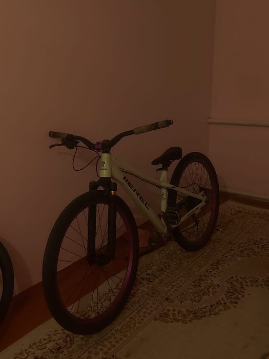 EREC L100 27.5 год 2025