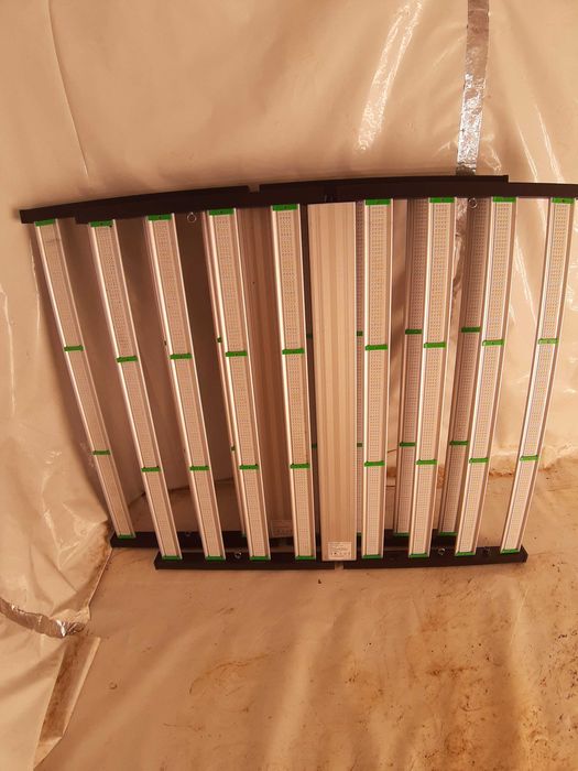 PHLIZON 1000w led grow light