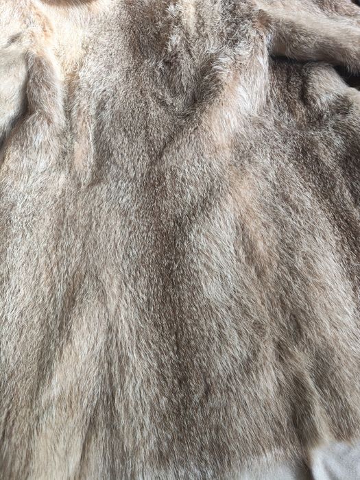 Blăniță naturală