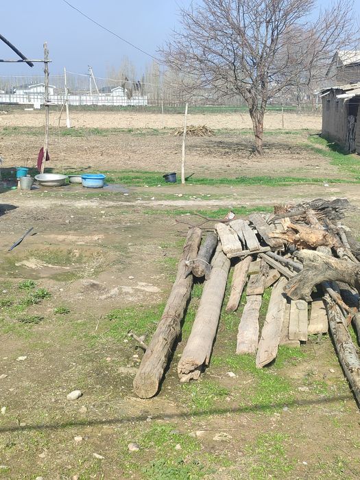 Uchastka sotiladi 4 sotix