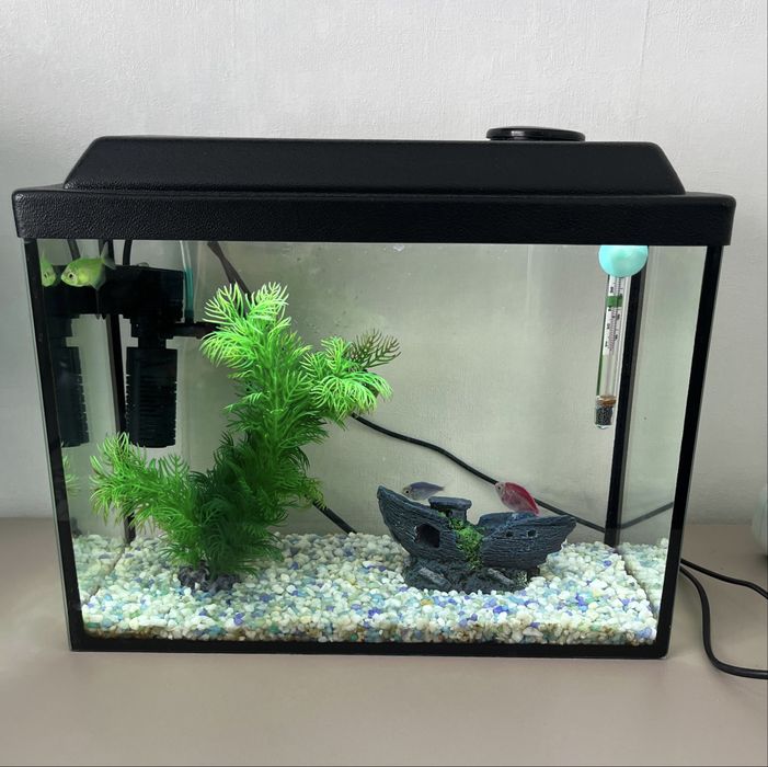 Продам аквариум с рыбками
