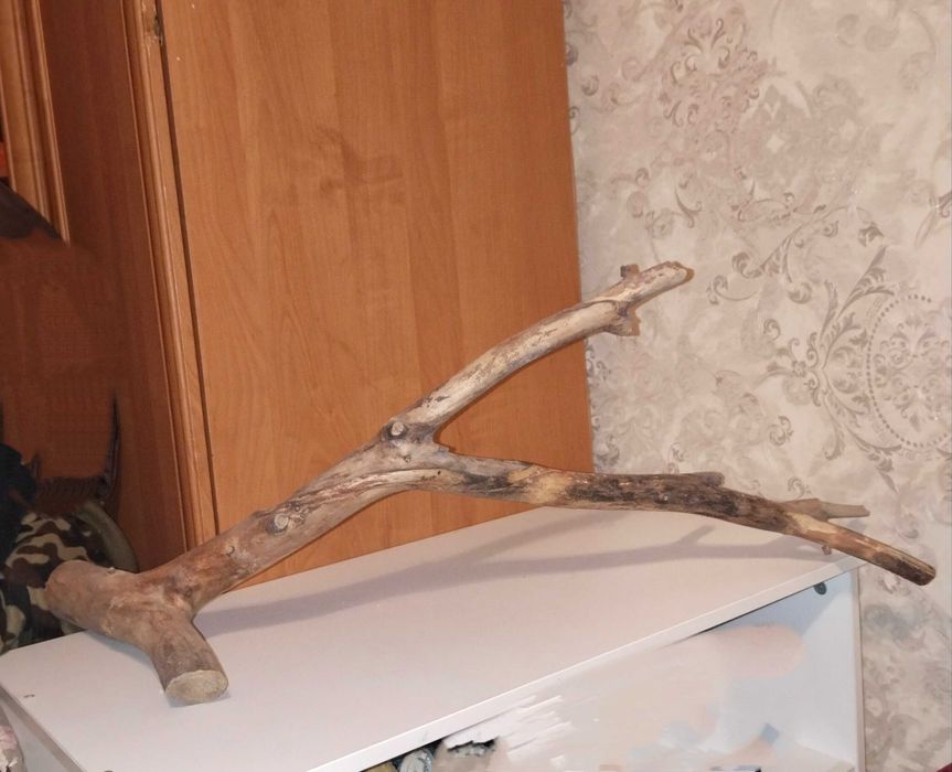 Коряга в аквариум большая