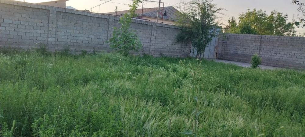 тезда сотамиз участкамиззи