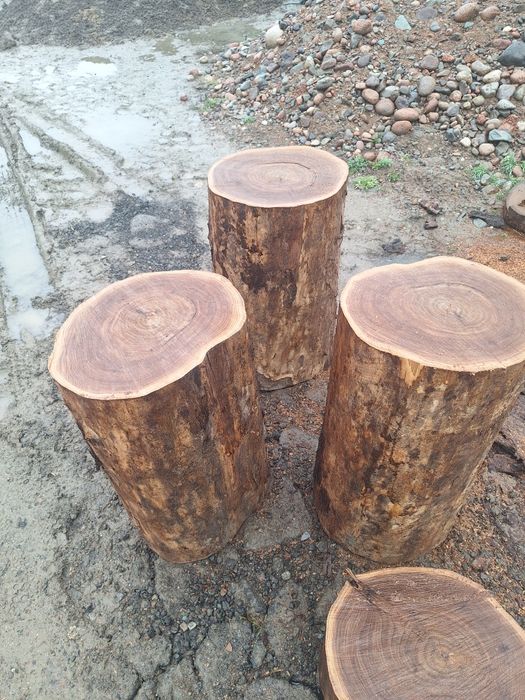 Продам чурбак карагача