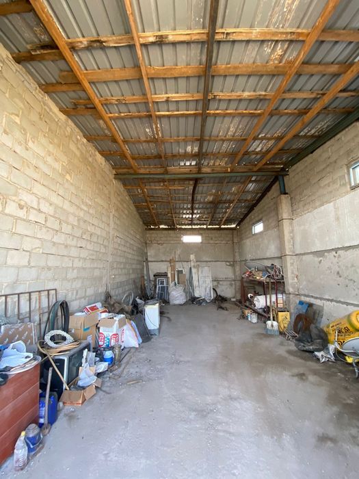 Продам хозяйство