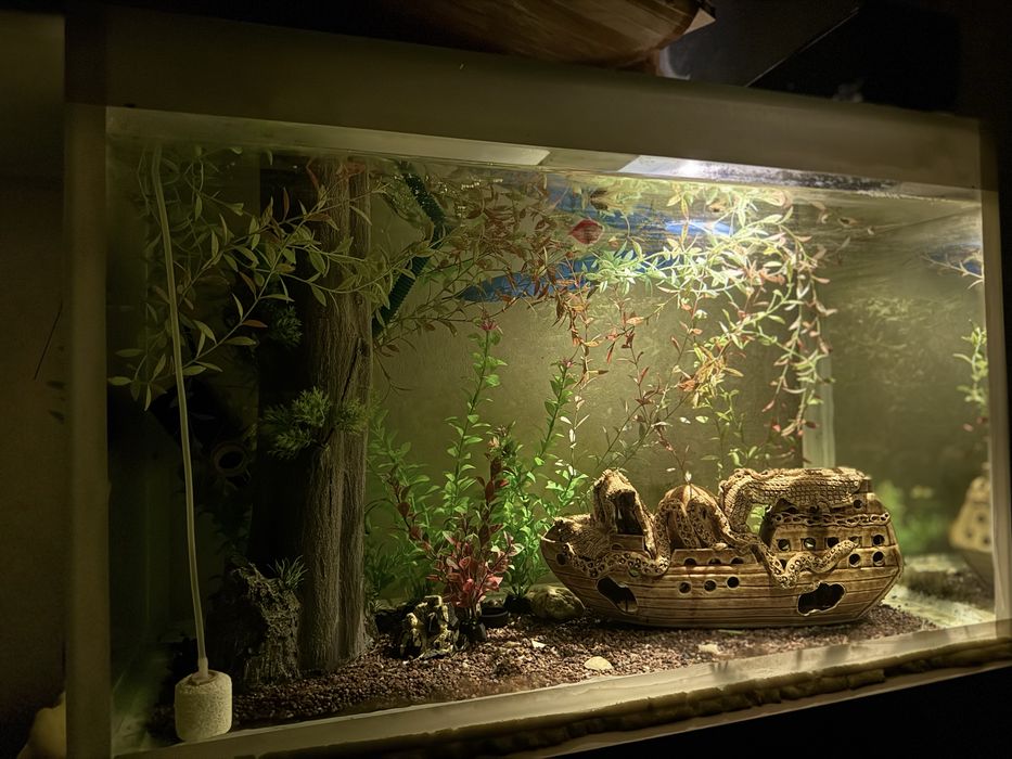 Аквариум 150 литров