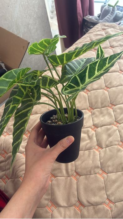 Текстиль,посуда,утюг все хорошее