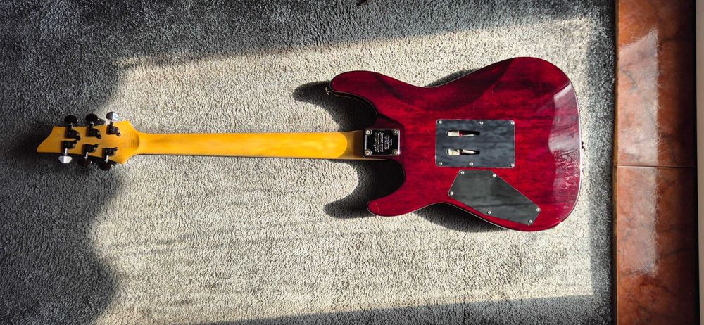 Chitara Electrica Schecter Omen Extreme 6 FR RCH Floyd Rose Special