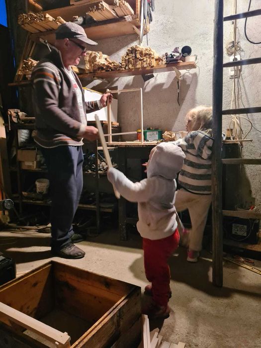 Vand familii si roi de albine