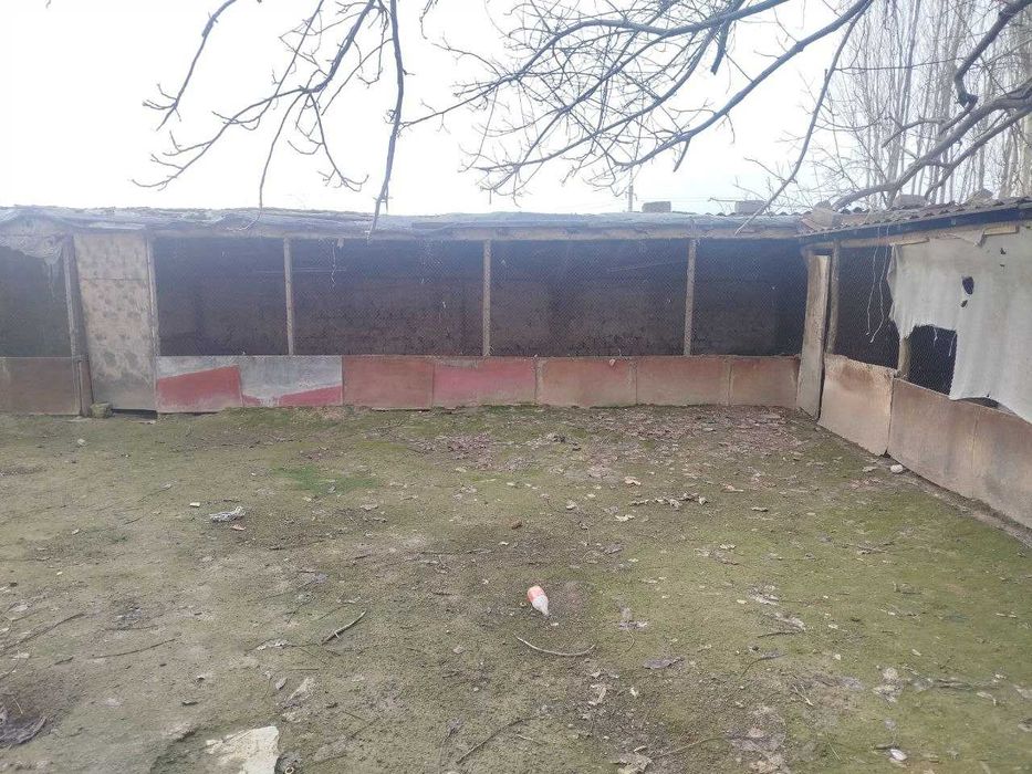 Арендага уй ховли