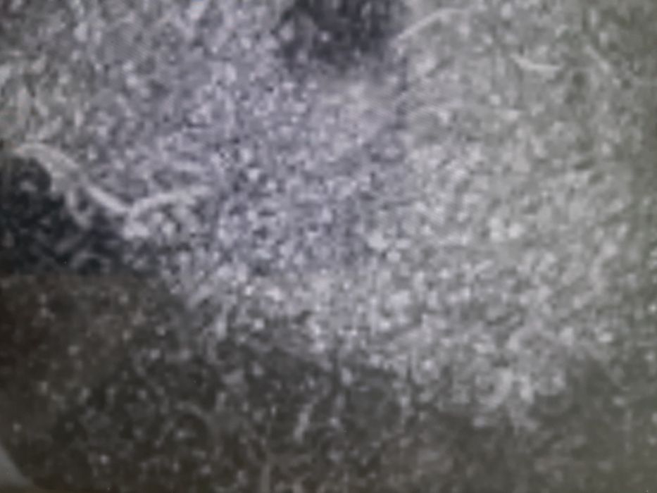 Бабит 16 стружка