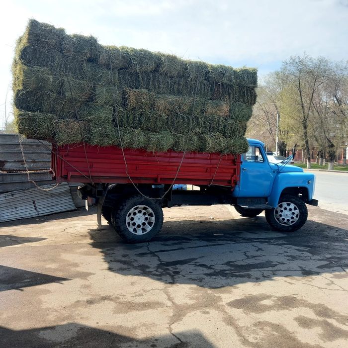 Продаж люцерна; сено(разнотравья) салома