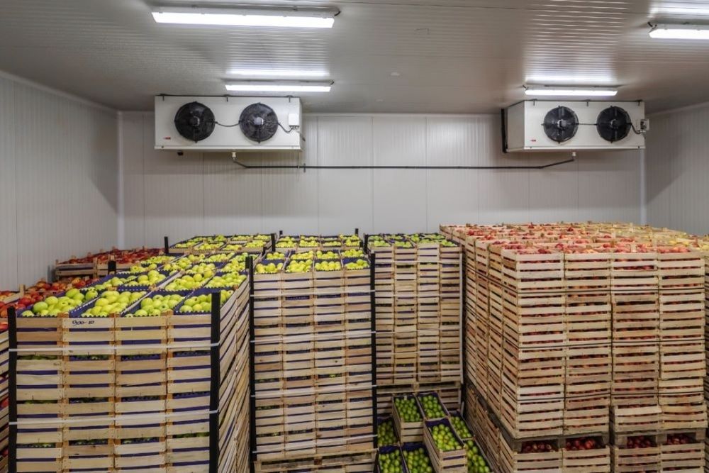 Промышленные холодильные камеры | Продажа и установка