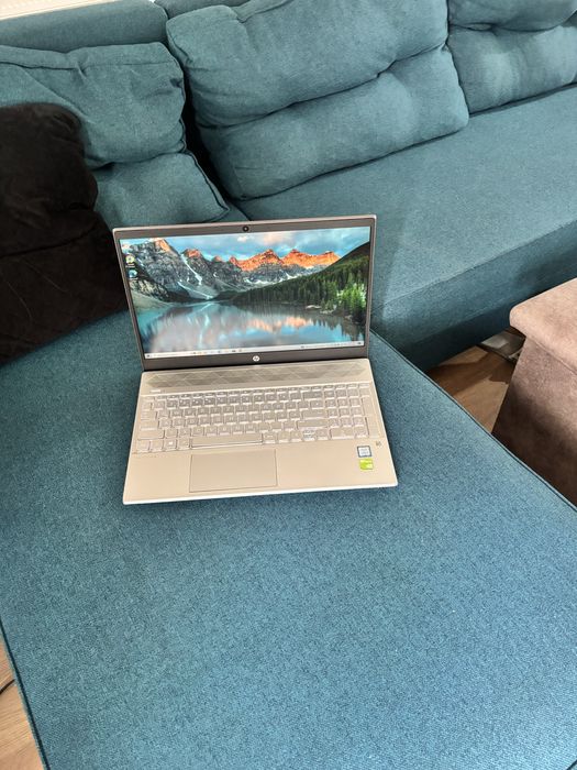 HP 15• i5-8250u• Nvidia MX 150• 8gb ram• SSD + HDD• Light gaming