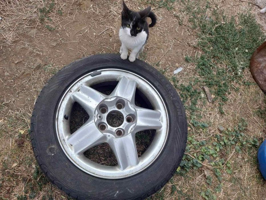 Гуми и алуминиеви джанти-15” за Опел