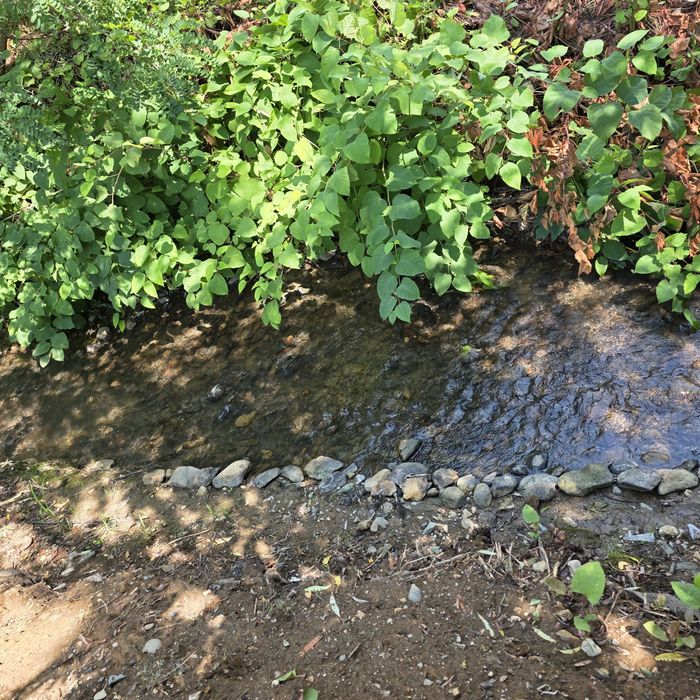 Casă de vânzare, zona Valea Borcutului