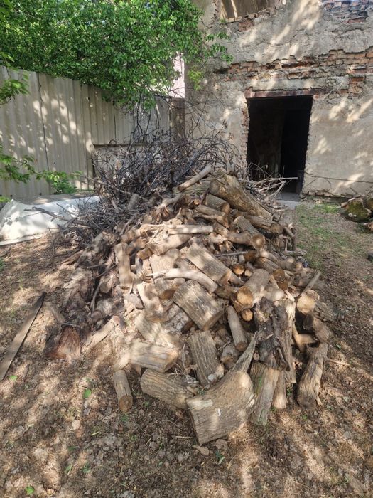 Дрова, ветки и бревна