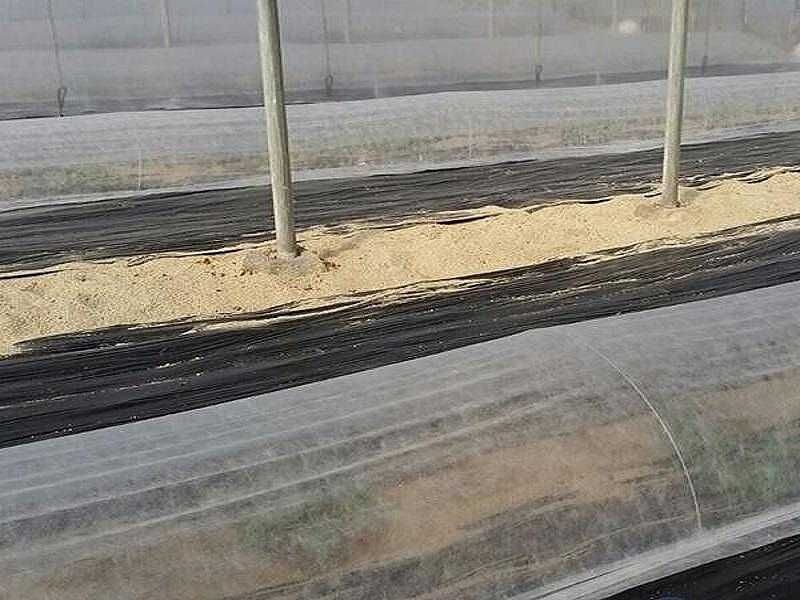 Промоция на Агрил от  17g/m² до 23g/m² ГОЛЕМИ РАЗМЕРИ