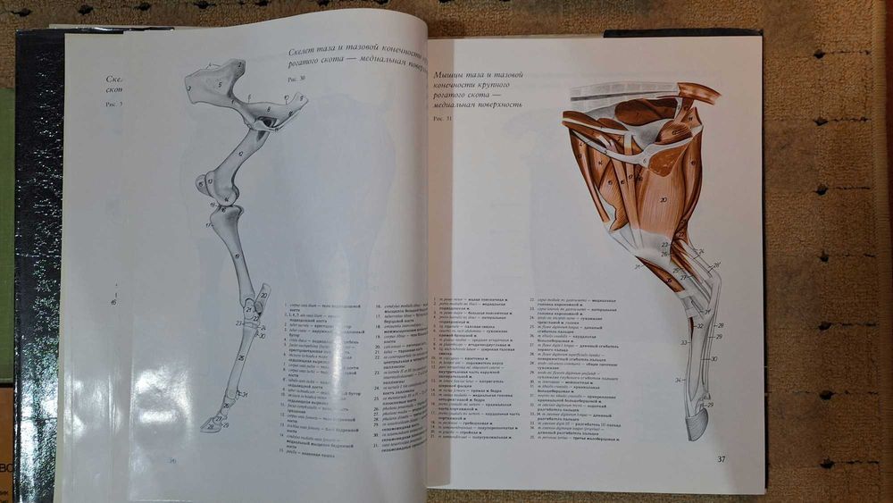 Книги, атласы заповедники,разное.