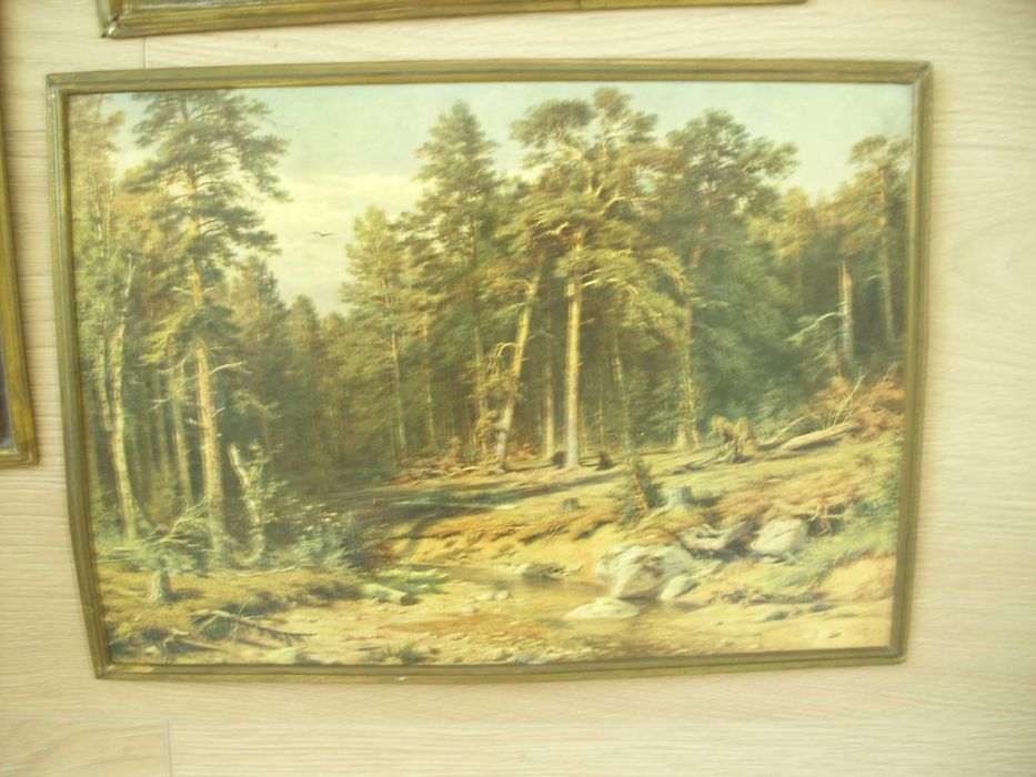 Картини за стена "Иван Царевич на сером волке" и "Сосновьй бор"