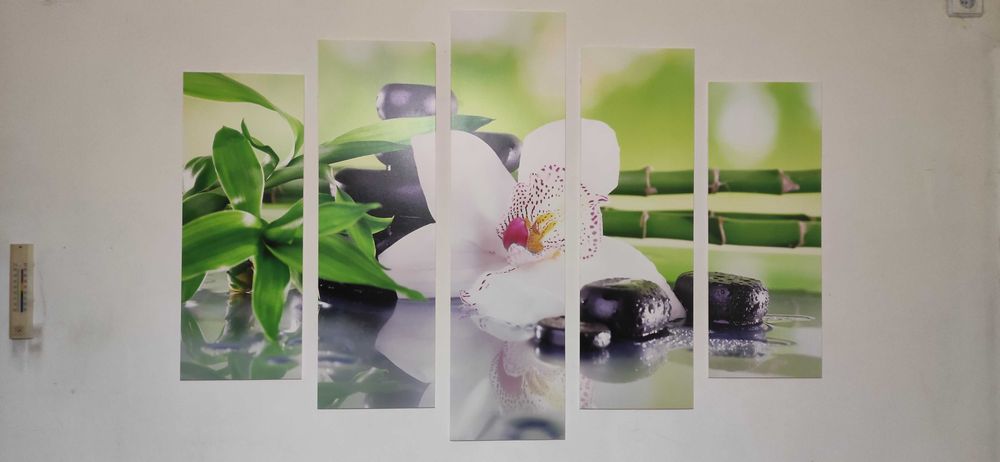 Декоративни пана