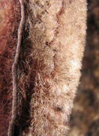 Продам натуральную дубленку Bazzano!