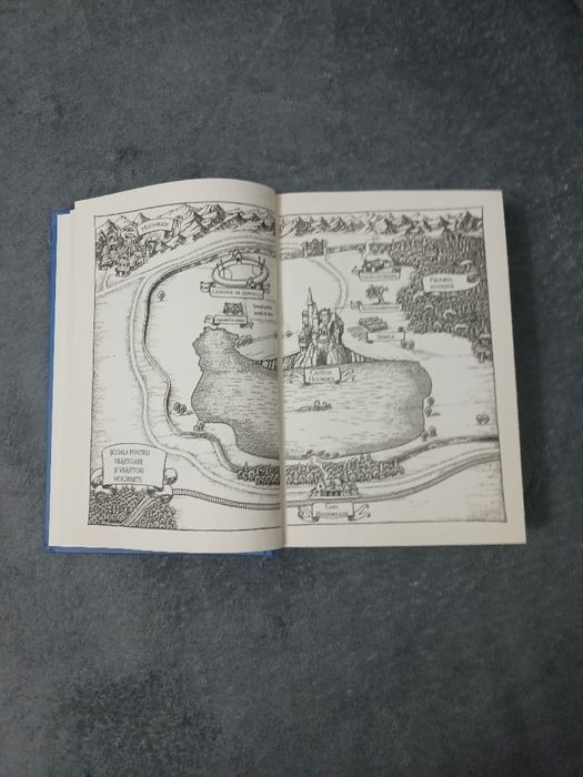 Carte Harry Potter și prizonierul din azkaban