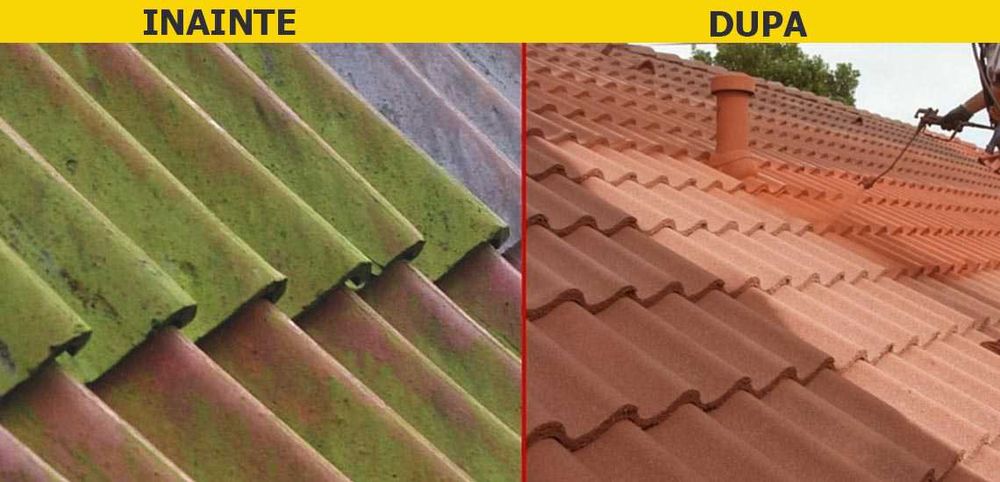 Vopsitor orice fel de tabla