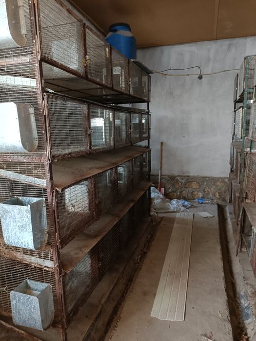 Клетка для кроликов